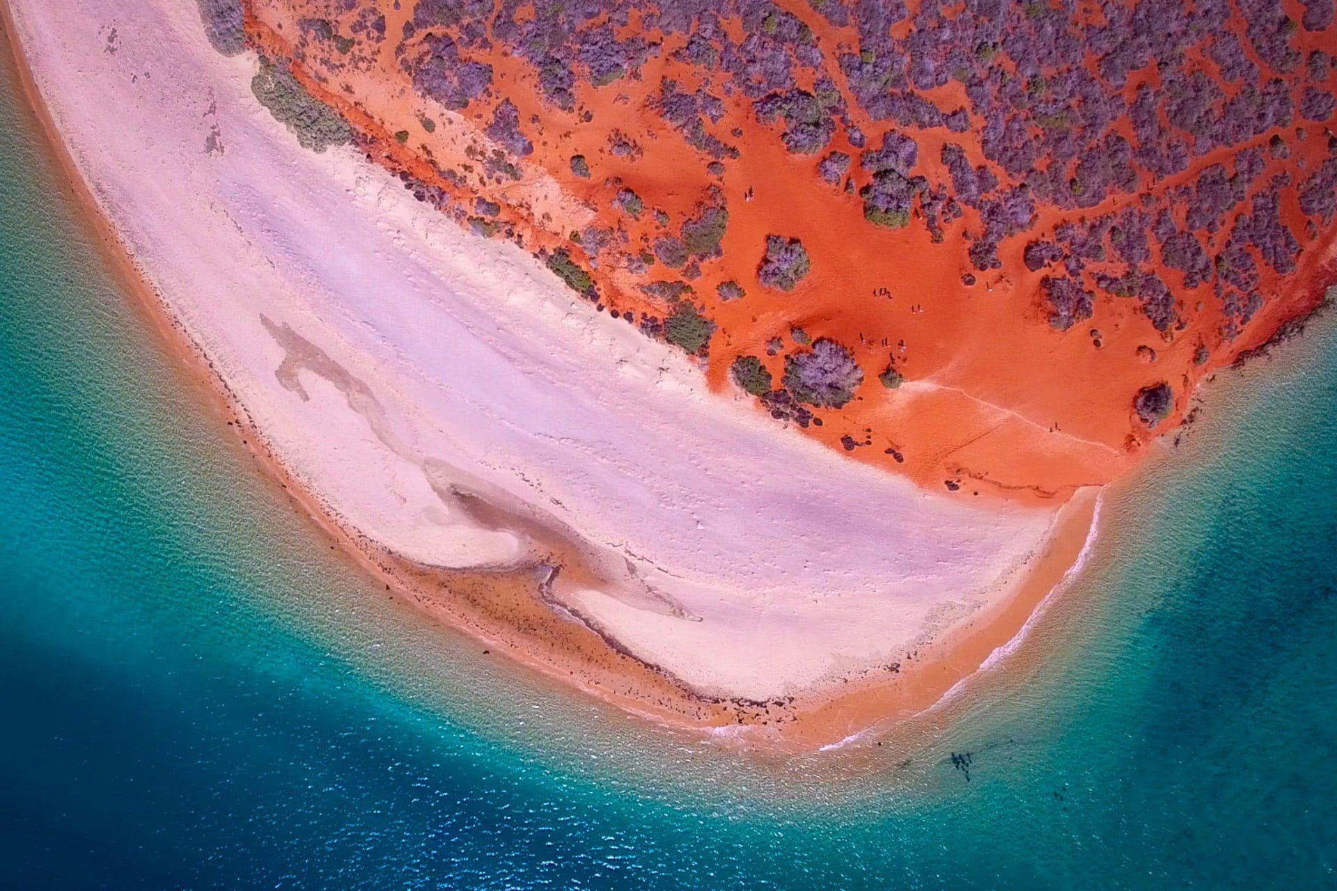 Jewels of the West Coast & Pilbara Tour — photo 4