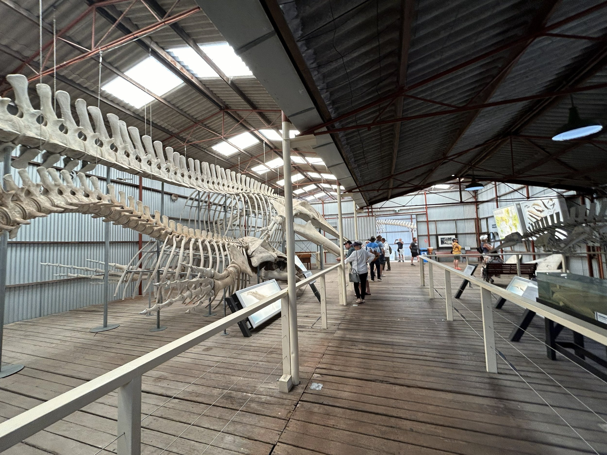 South West Discovery Tour — photo 5