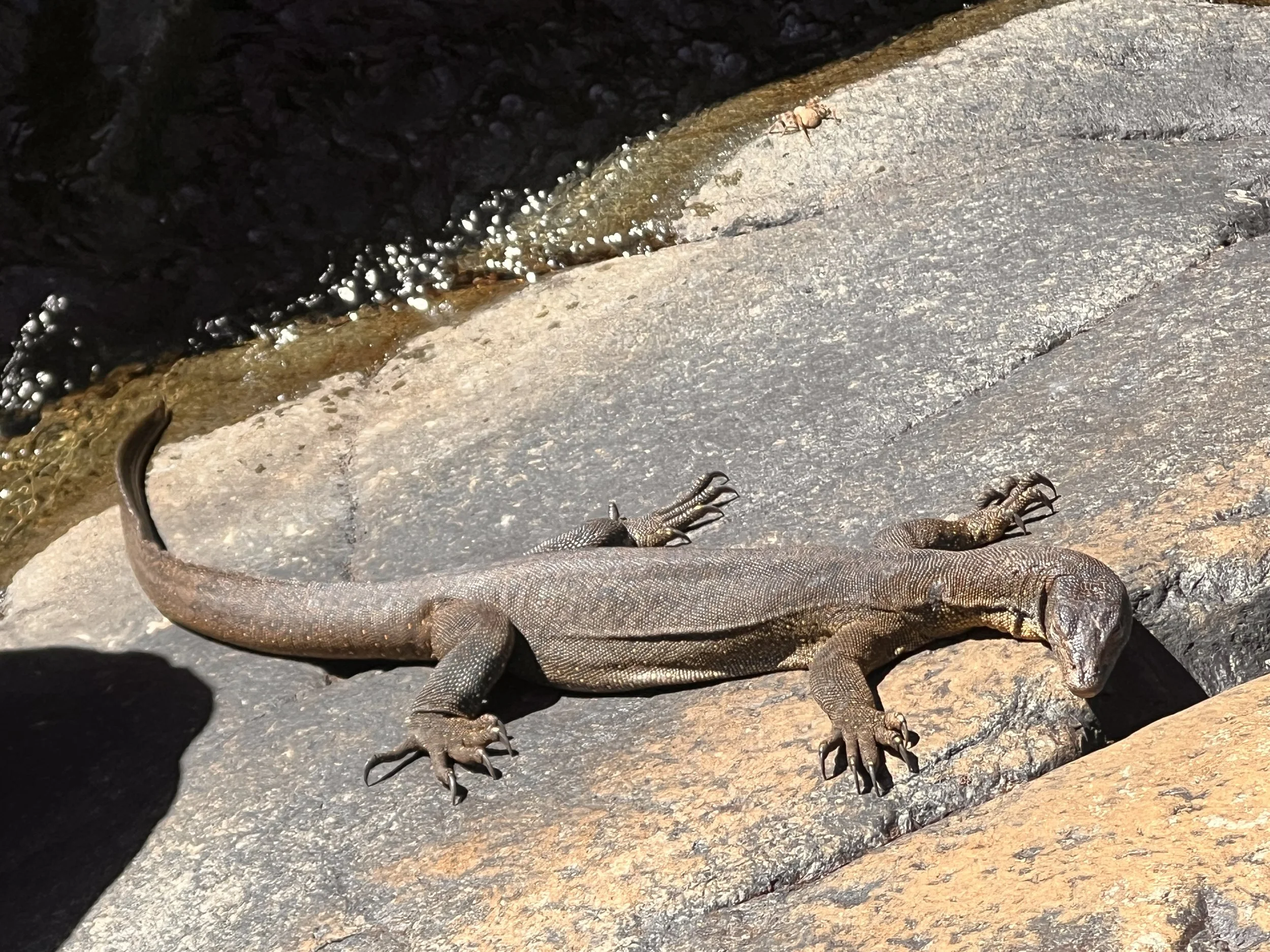 Ultimate Kimberley Tour — photo 12
