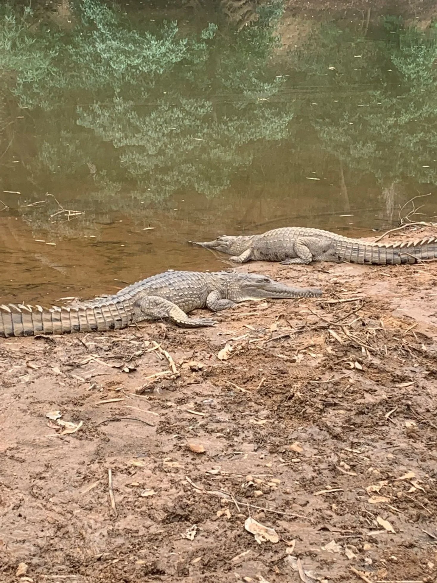 Ultimate Kimberley Tour — photo 9