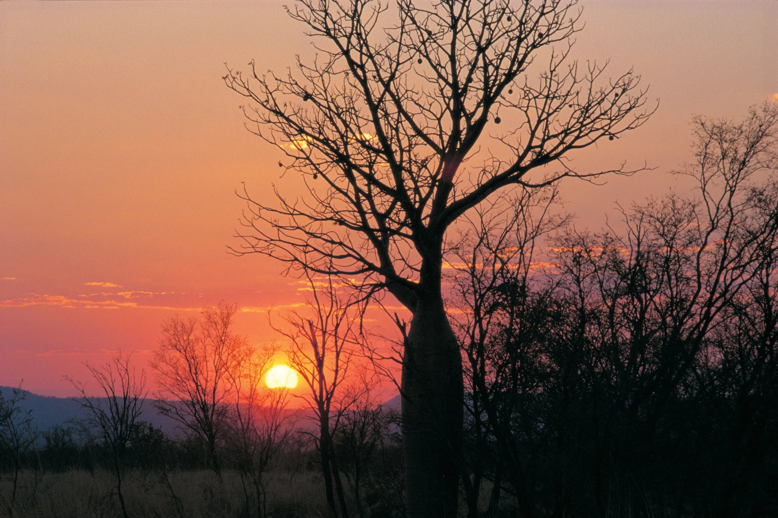 Ultimate Kimberley Tour — photo 22