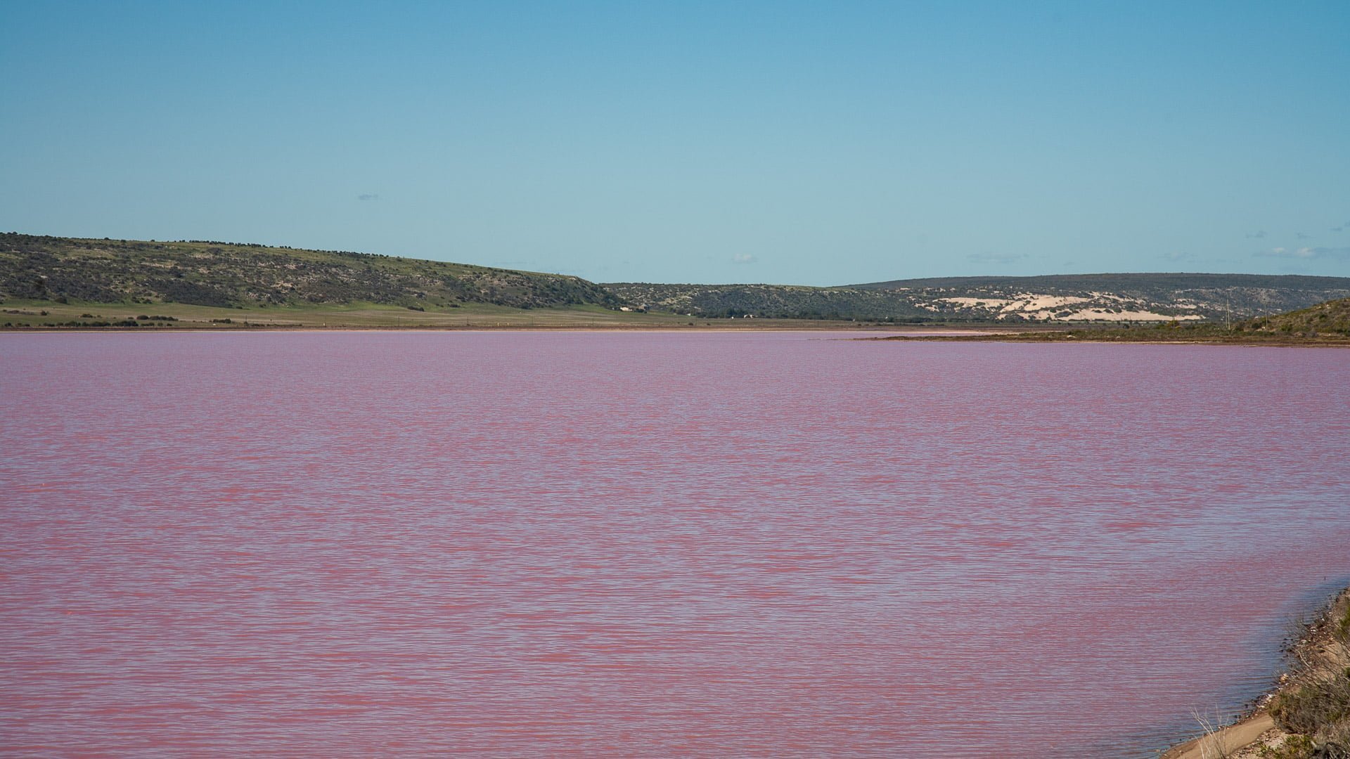 Jewels of the West Coast & Pilbara Tour — photo 18