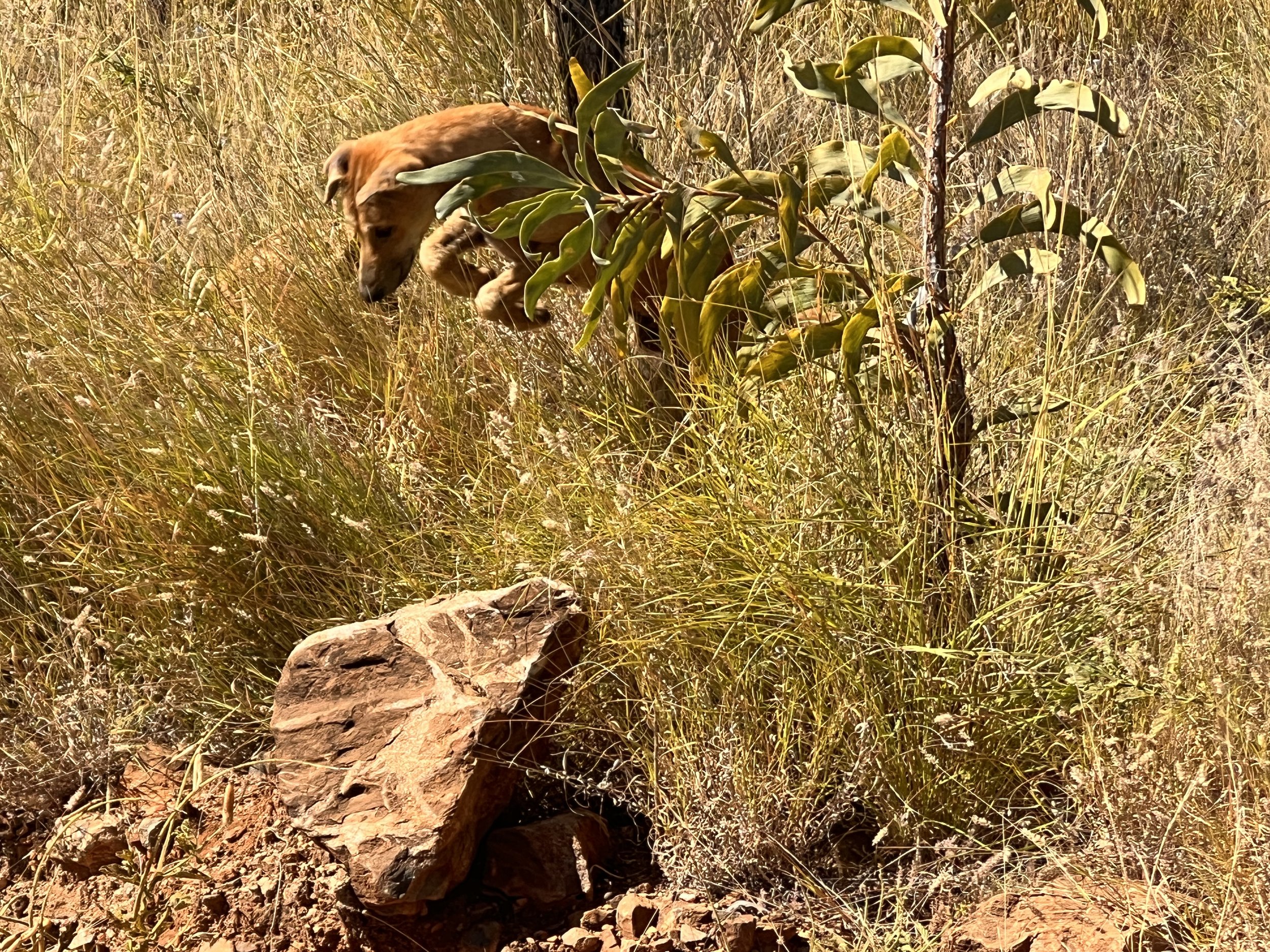 Kimberley & Top End Tour — photo 13