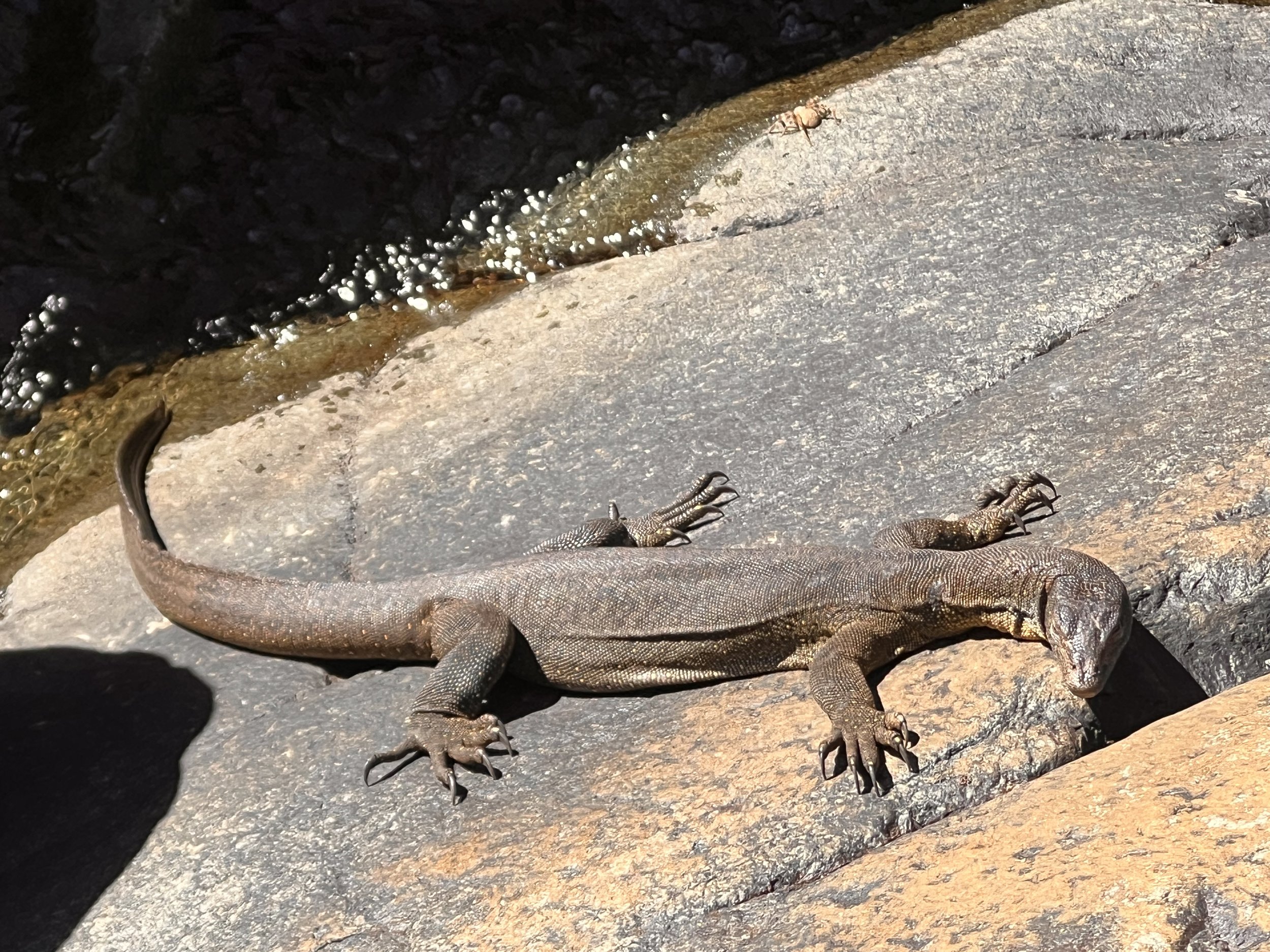 Kimberley & Top End Tour — photo 16