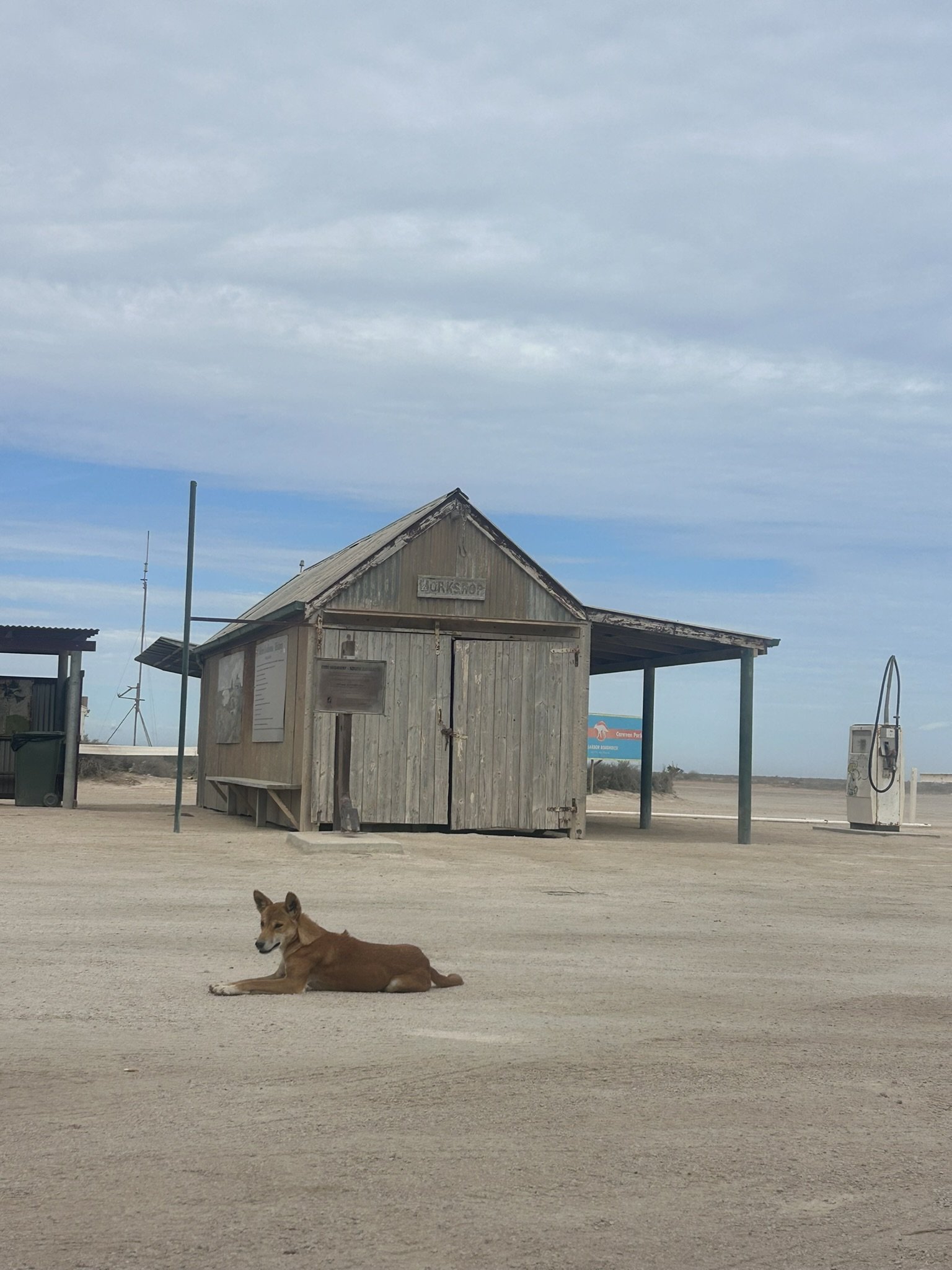 Nullarbor and Southern Ocean Tour — photo 19