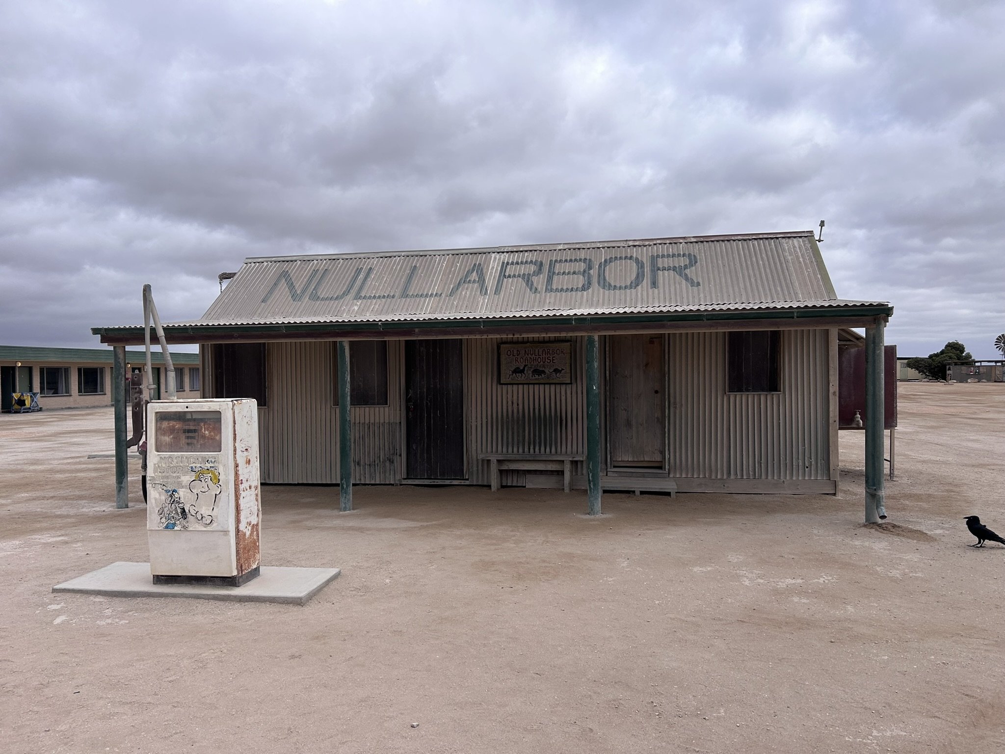 Nullarbor and Southern Ocean Tour — photo 20