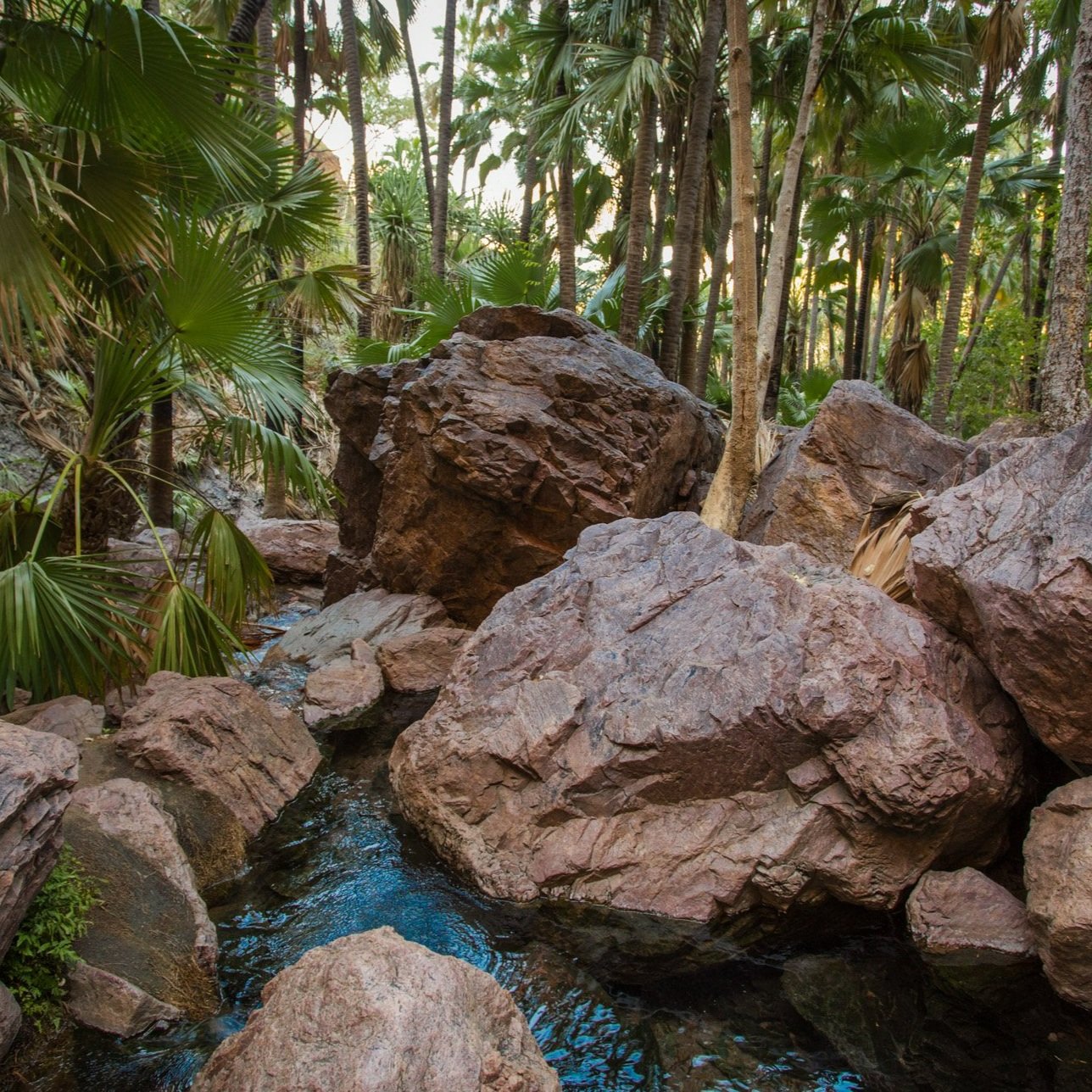 Kimberley & Top End Tour — photo 20