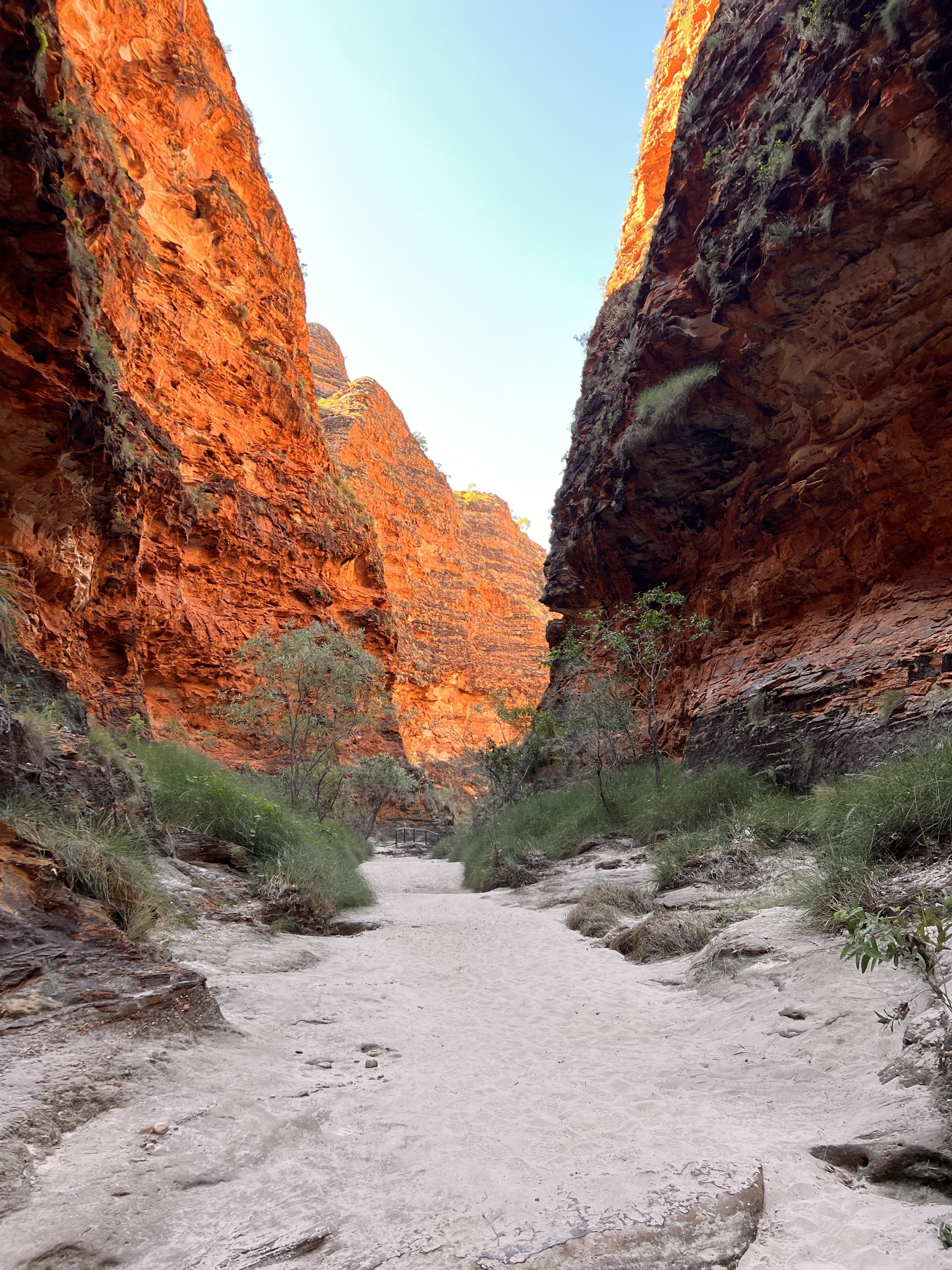 Kimberley & Top End Tour — photo 24