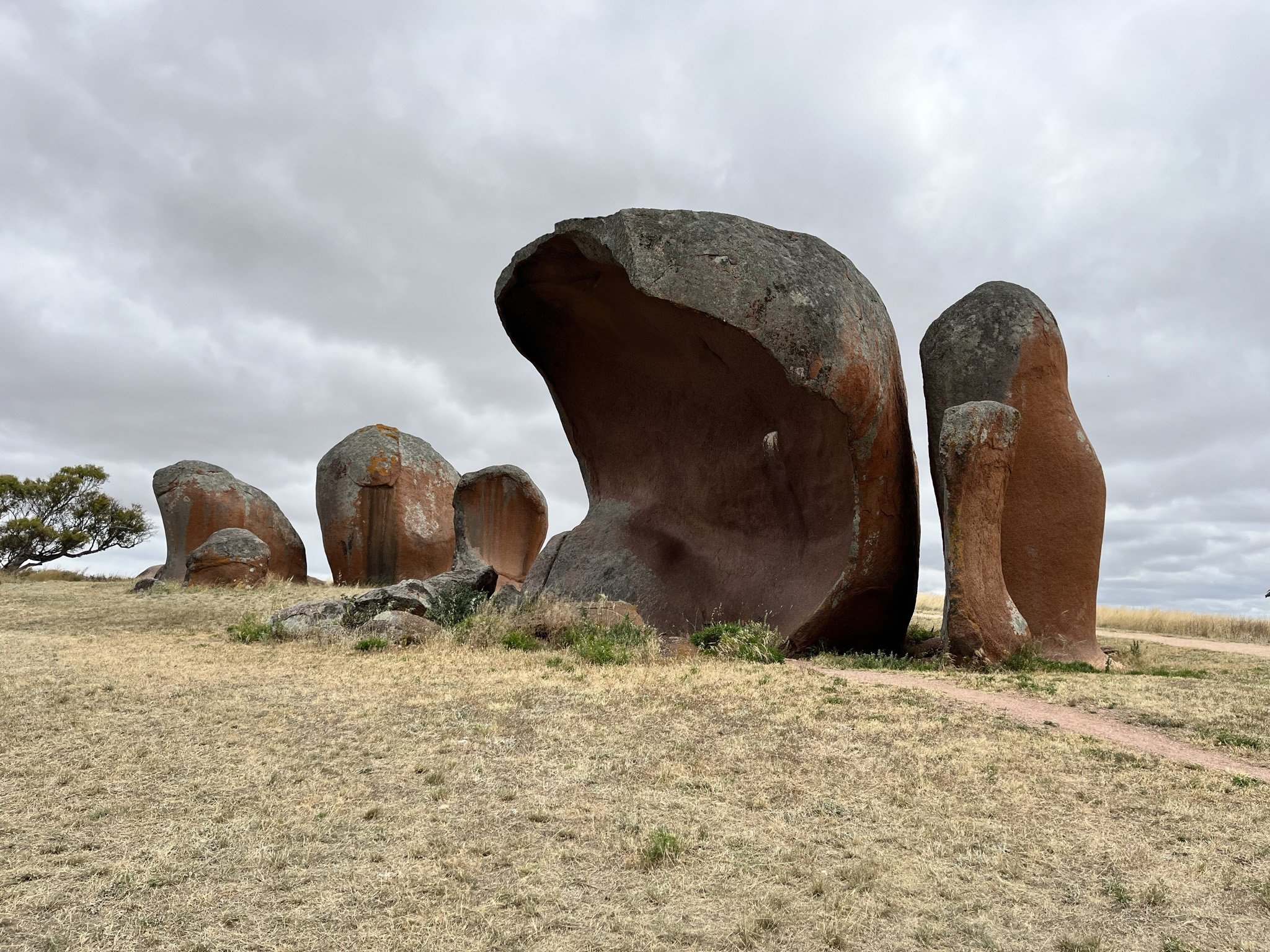 Nullarbor and Southern Ocean Tour — photo 24