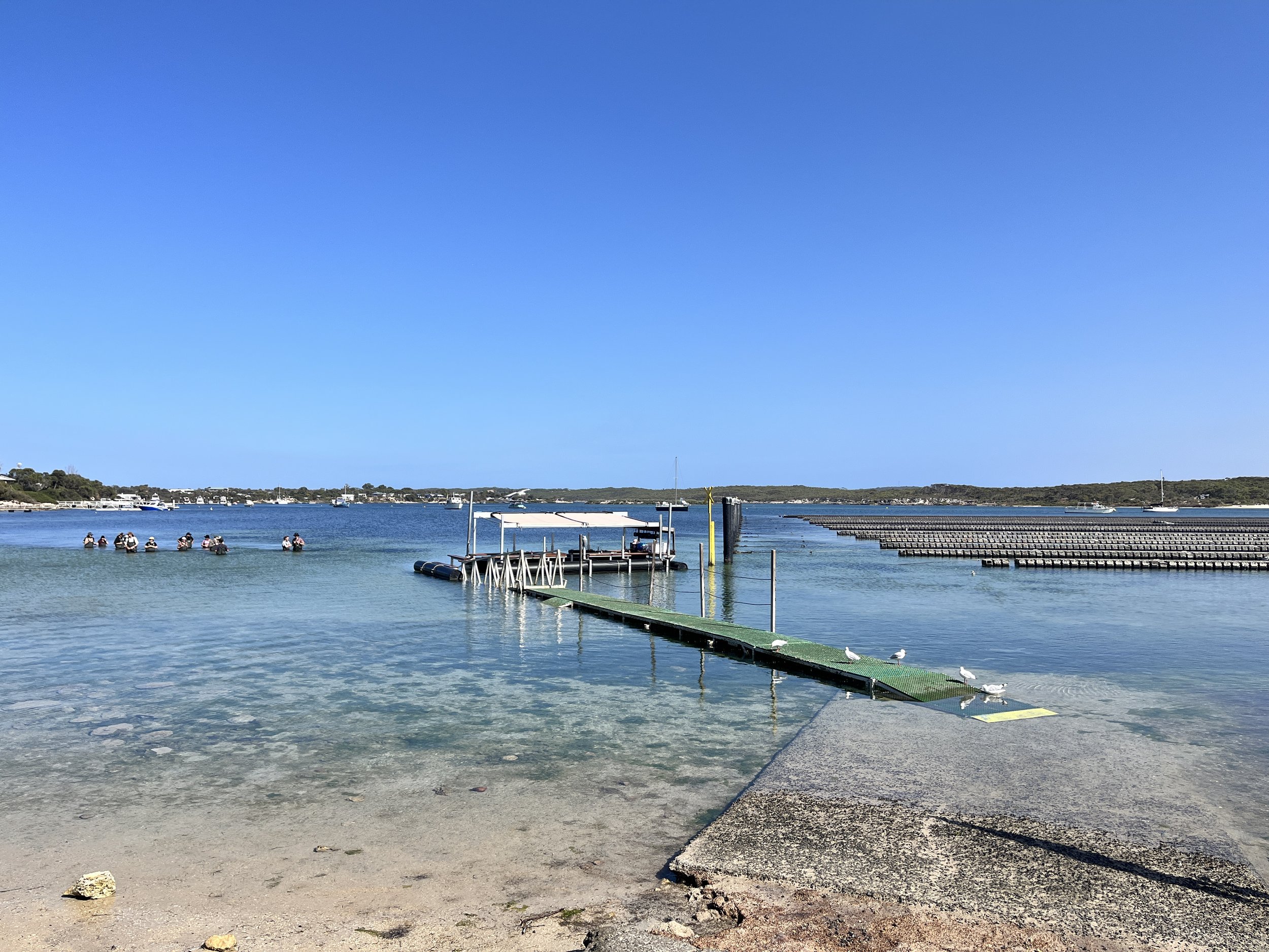 Nullarbor and Southern Ocean Tour — photo 27